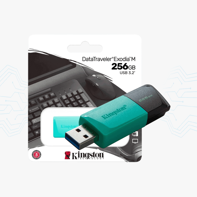 FLASH MEMORY KINGSTON 256GB